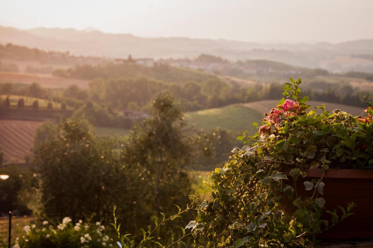 Tenuta San Rocco Conzano Dış mekan fotoğraf