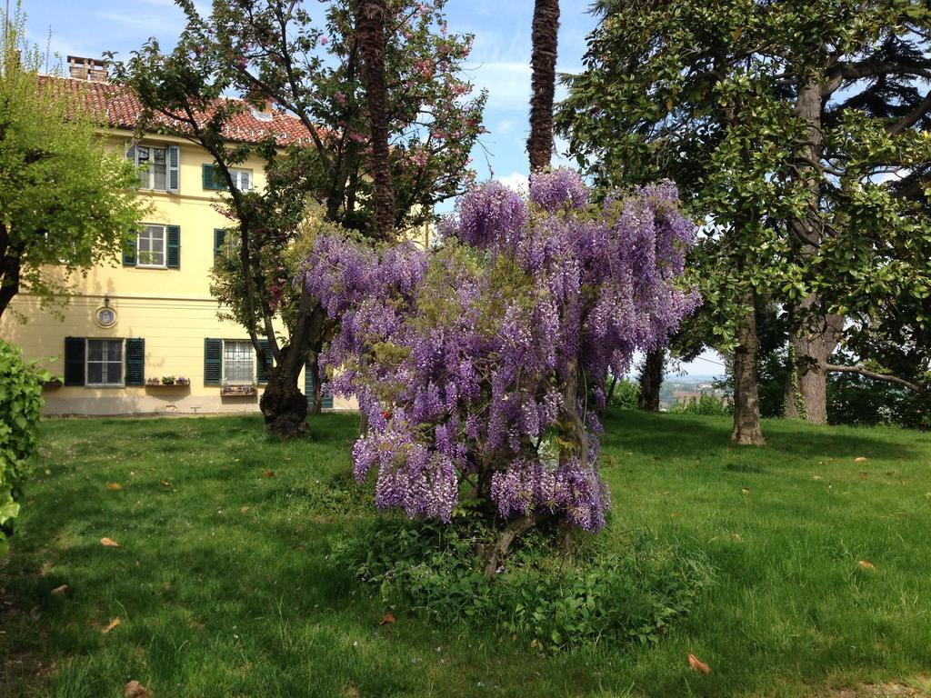Tenuta San Rocco Conzano Dış mekan fotoğraf