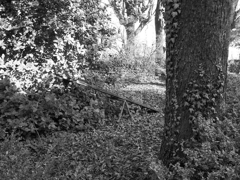 Tenuta San Rocco Conzano Dış mekan fotoğraf